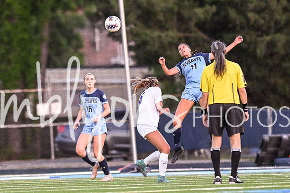 DSC_3223_edited-1