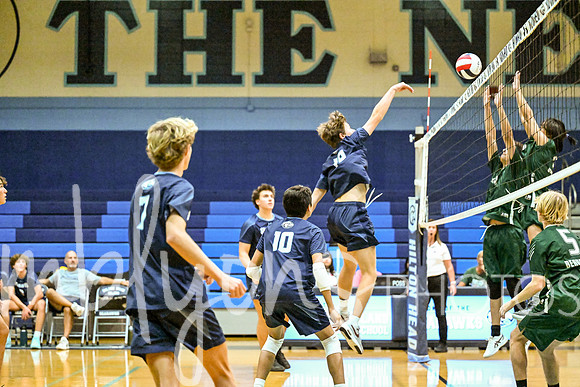 DSC_2728_edited-1