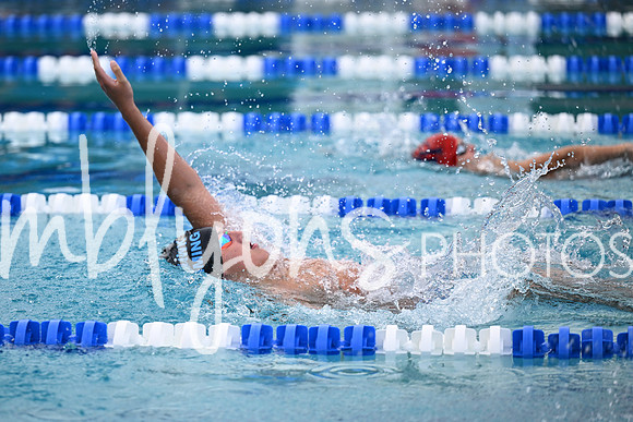 DSC_2308_edited-1