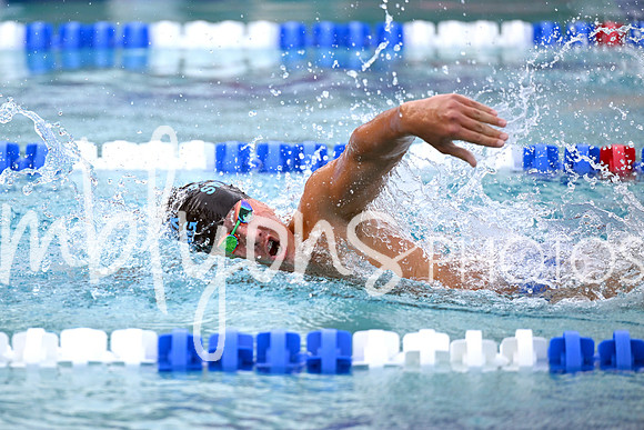 DSC_2342_edited-11