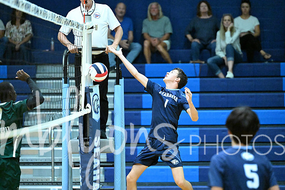 DSC_2934-1_edited-1