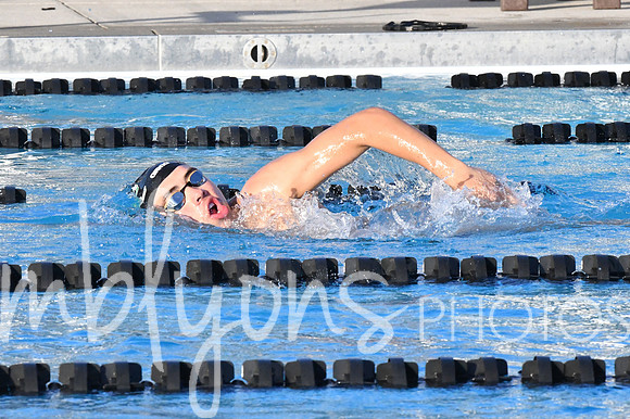 DSC_6343-1_edited-1