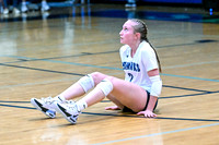 DSC_2650_edited-1