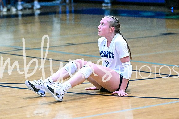 DSC_2650_edited-1