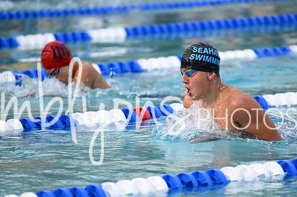 DSC_2319_edited-1