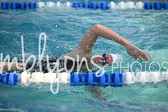 DSC_1079-1_edited-1