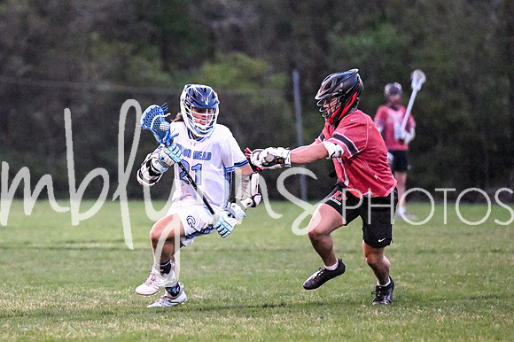 DSC_7353_edited-1