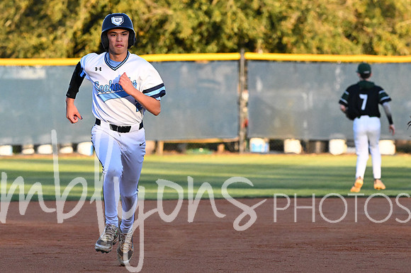 DSC_9503_edited-1