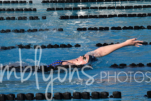DSC_6497-1_edited-1