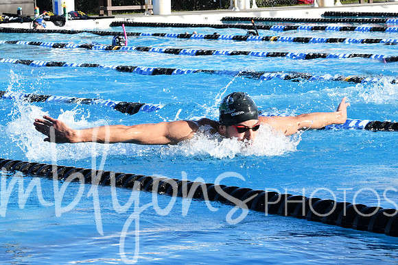 DSC_5365-1_edited-1