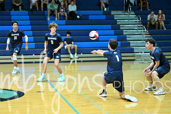 DSC_2966-1_edited-1