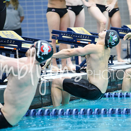 DSC_2848_edited-1