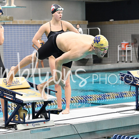 DSC_4199_edited-1