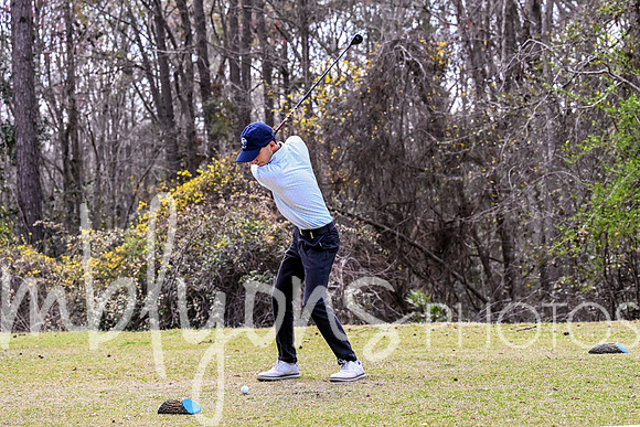 DSC_6193-1_edited-1