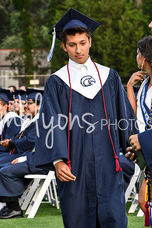 DSC_1169_edited-1