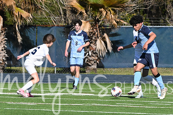 DSC_4801-1_edited-1