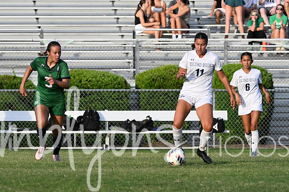 DSC_6546-12_edited-1