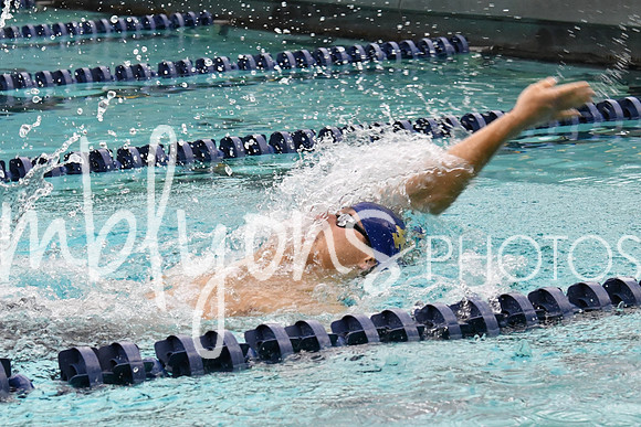 DSC_3099_edited-1