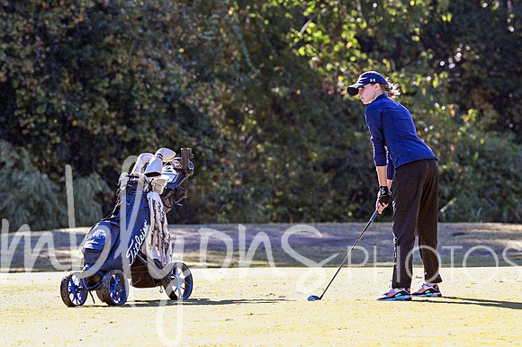 DSC_6658-1_edited-1