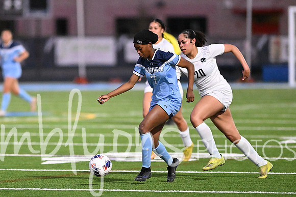 DSC_8695_edited-1