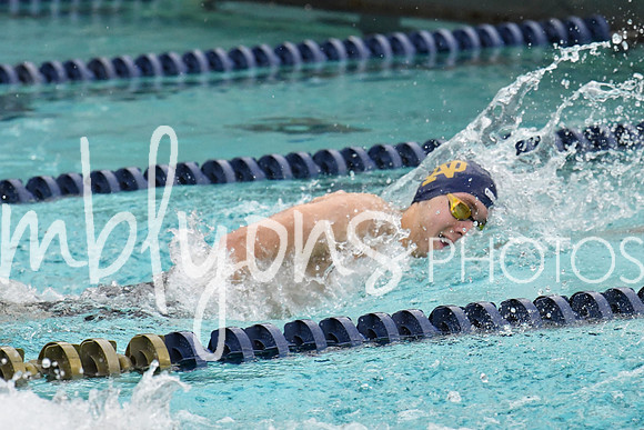 DSC_3459_edited-1