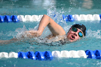 DSC_1833-1_edited-1