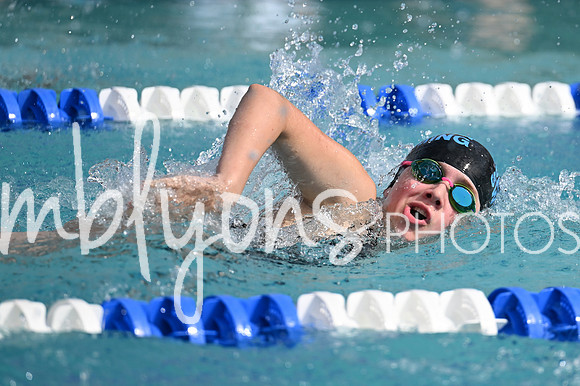 DSC_1833-1_edited-1