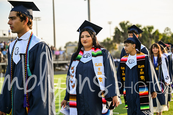 DSC_2095_edited-1