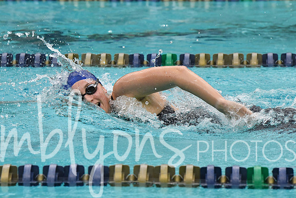 DSC_1833-1_edited-1