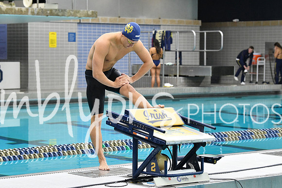 DSC_4520-1_edited-1
