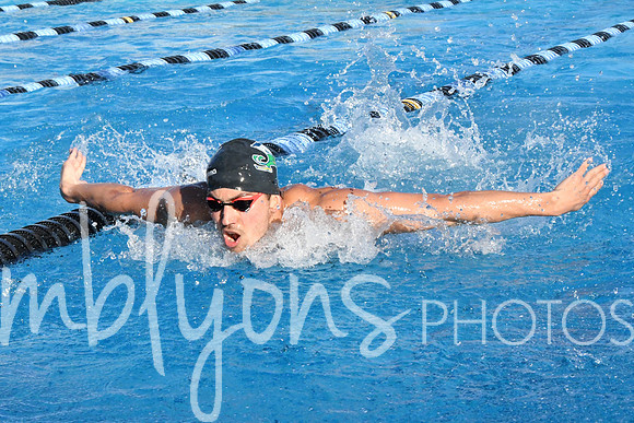 DSC_5264-1_edited-1