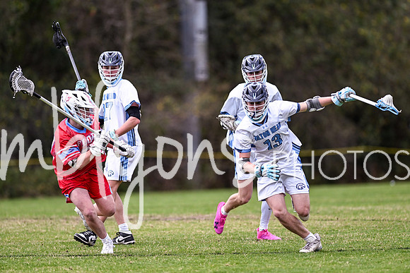 DSC_8406_edited-1