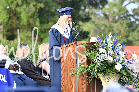 DSC_1038-1_edited-1