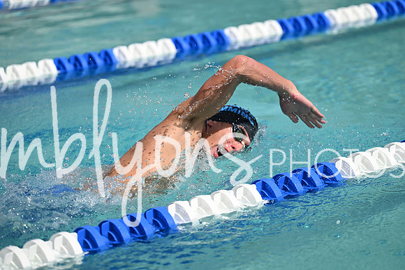 DSC_2450_edited-1
