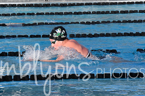 DSC_6519-1_edited-1