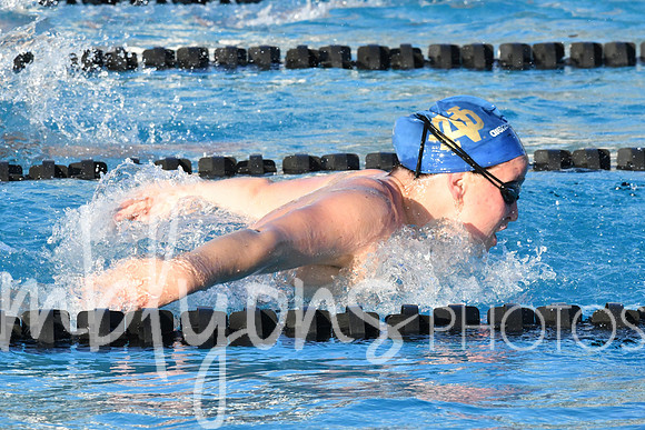 DSC_6305-1_edited-1