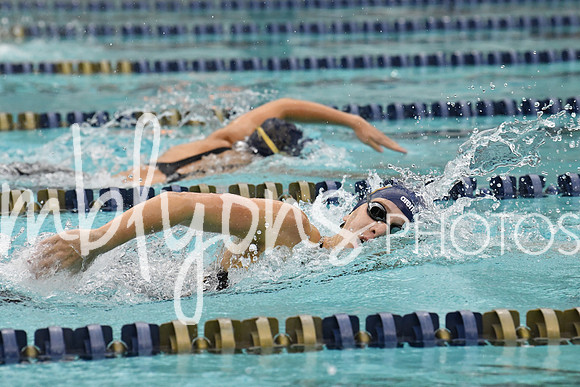 DSC_3410_edited-1