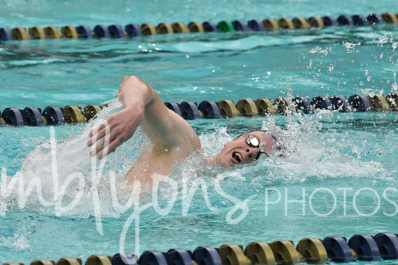 DSC_1905_edited-1