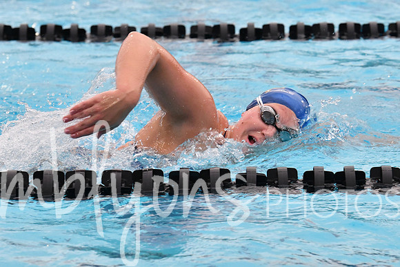DSC_4460_edited-1