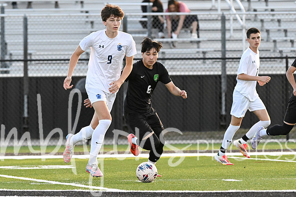 DSC_1232_edited-1