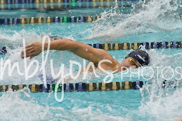 DSC_3439_edited-1