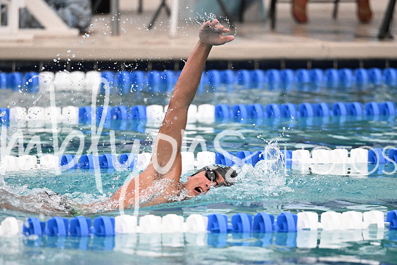 DSC_2687_edited-1