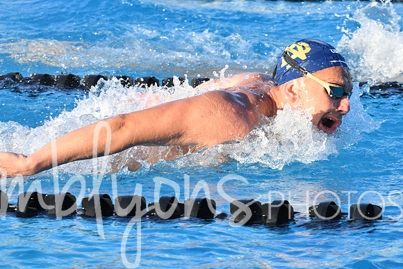 DSC_6292_edited-1