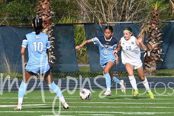 DSC_0206_edited-1