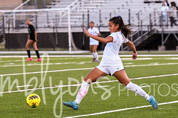 DSC_7670_edited-1