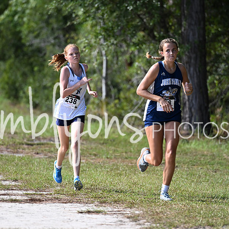 DSC_4195_edited-1