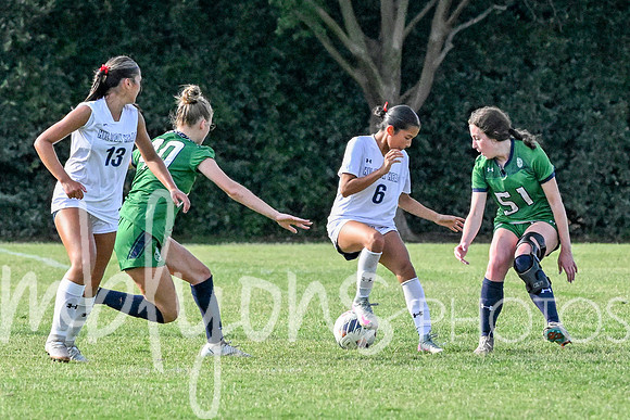 DSC_6243-1_edited-1