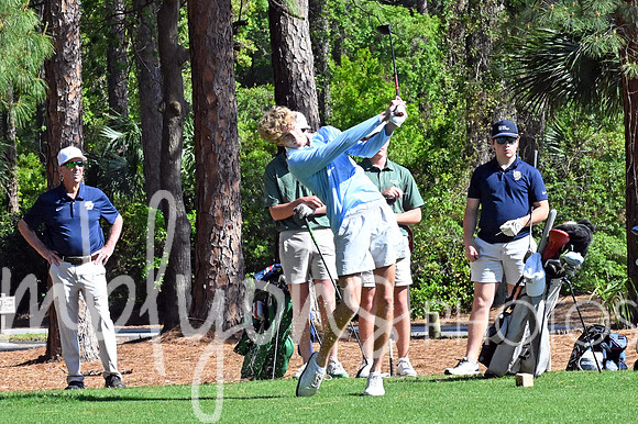 DSC_2309-1_edited-1