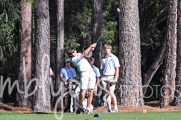 DSC_1717-1_edited-1