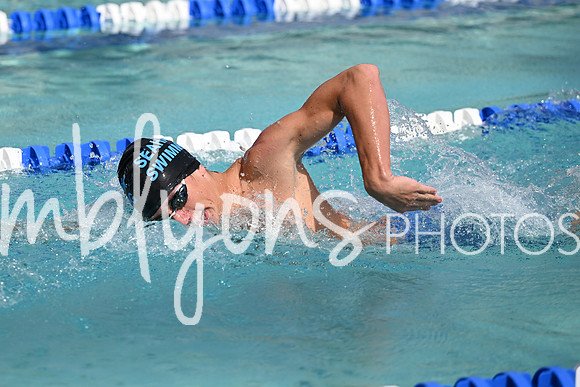 DSC_2453_edited-1